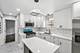 3827 W Hayford, Chicago, IL 60652