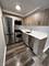 541 W Oakdale Unit 101, Chicago, IL 60657