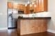 4417 S Indiana Unit 3S, Chicago, IL 60653