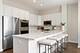 1719 W George, Chicago, IL 60657