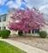 8S765 Singletree, Naperville, IL 60565