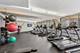 300 N State Unit 4333, Chicago, IL 60654