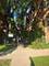 5463 S Ingleside Unit 3W, Chicago, IL 60615