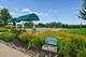 3304 Comstock, Mundelein, IL 60060