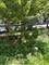 1449 S Spaulding, Chicago, IL 60623
