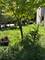 1449 S Spaulding, Chicago, IL 60623