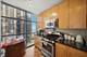 201 N Westshore Unit 1708, Chicago, IL 60601