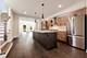 2832 W Wilcox, Chicago, IL 60612