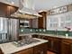 2849 N Ashland Unit 2S, Chicago, IL 60657
