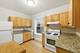 528 Sheridan Unit 2A, Evanston, IL 60202