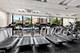 3930 N Pine Grove Unit 909, Chicago, IL 60613