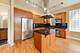 821 N Wood Unit 1, Chicago, IL 60622
