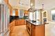 821 N Wood Unit 1, Chicago, IL 60622