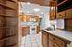 103 N Home, Park Ridge, IL 60068