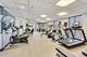 950 N Michigan Unit 3103, Chicago, IL 60611