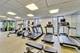 950 N Michigan Unit 3103, Chicago, IL 60611