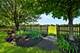 2721 Springdale, Naperville, IL 60564