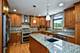 2721 Springdale, Naperville, IL 60564