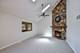 2721 Springdale, Naperville, IL 60564