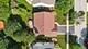 3423 Interlochen, Naperville, IL 60564