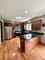 2868 Cole, New Lenox, IL 60451