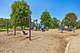 14854 S Carlton, Homer Glen, IL 60491