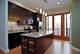 918 W Van Buren, Chicago, IL 60607