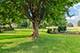 1514 Fargo, Geneva, IL 60134