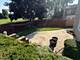42 Abbeywood, Romeoville, IL 60446