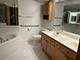 650 S River Unit 301, Des Plaines, IL 60016