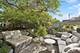 509 W Grant, Chicago, IL 60614