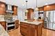 1137 Hyde Park, Naperville, IL 60565