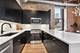 300 W Grand Unit 303, Chicago, IL 60654