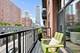 300 W Grand Unit 303, Chicago, IL 60654