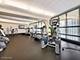 300 N State Unit 4610, Chicago, IL 60654