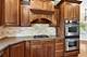 6117 Whitetail Ridge, Yorkville, IL 60560