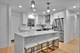 9317 Olcott, Morton Grove, IL 60053