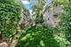 729 N Grove, Oak Park, IL 60302