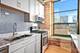 1133 S Wabash Unit 501, Chicago, IL 60605