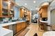 930 W Wolfram, Chicago, IL 60657