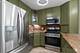 3900 N Pine Grove Unit 209, Chicago, IL 60613
