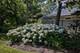 921 Ray, Geneva, IL 60134