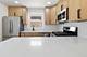 3250 N Olcott, Chicago, IL 60634