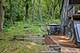 118 Brookbridge, Trout Valley, IL 60013