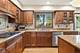 8100 Lake Ridge, Burr Ridge, IL 60527