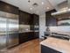 800 N Michigan Unit 4703, Chicago, IL 60611