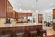 1530 W Grace, Chicago, IL 60613