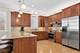 1530 W Grace, Chicago, IL 60613