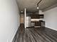 1620 S Michigan Unit 918, Chicago, IL 60616
