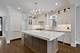 7739 Kenton, Skokie, IL 60076